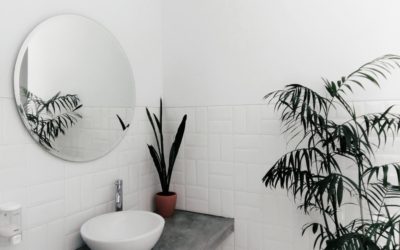 Bathroom Mold Removal with These Simple Tips