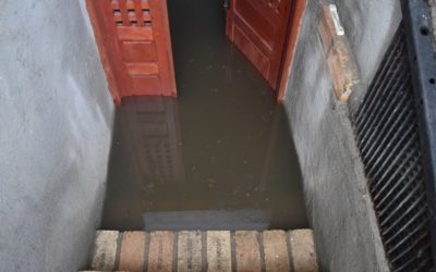 Flooded Basement Cleanup Step-by-Step Guide