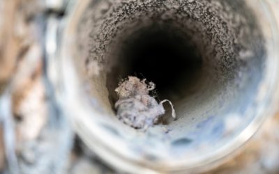 Dryer Duct Cleaning: When Does Your Home Need It?