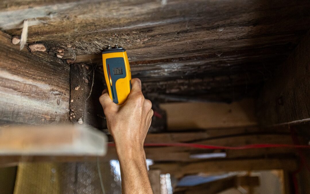 testing wood with moisture meter