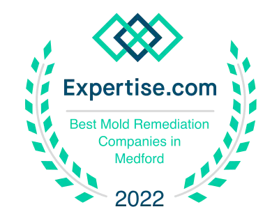 MICRO Certified Mold Inspector