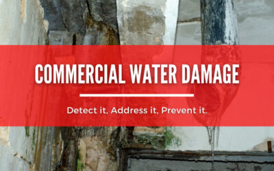 Commercial Water Damage Causes: Detect it, Address it, Prevent it