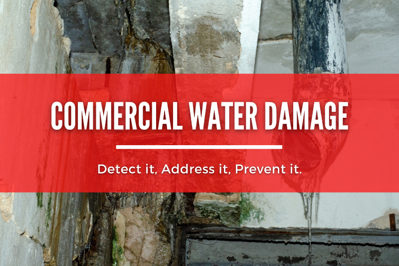 Commercial Water Damage Causes: Detect it, Address it, Prevent it