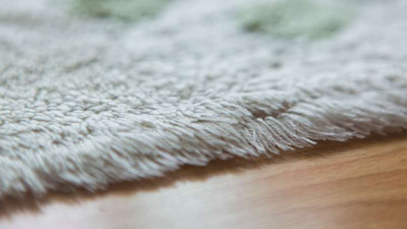 4 Tips To Keep Your Carpet Clean in Winter
