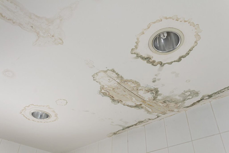 Ceiling Water Damage: Learn the Signs and Find the Solutions
