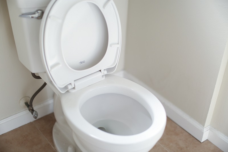 Remove Mold In Toilet and Prevent It from Coming Back