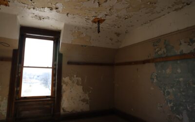 The Importance of Mold Removal Services for a Healthy Home