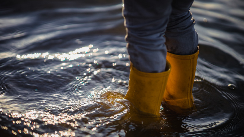 Water Damage Services That Protect Your Property Fast